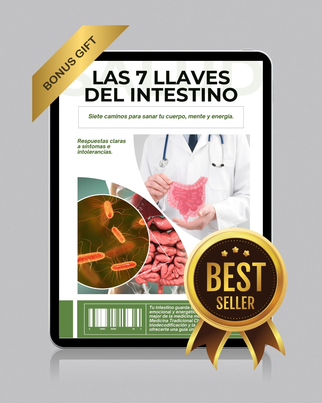 Las 7 llaves del Intestino